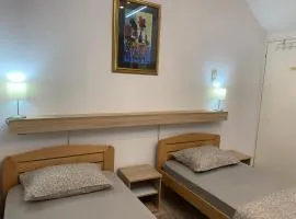 Guesthouse Vladimir & Ana