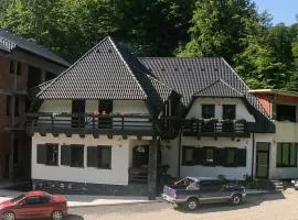 Băile Puturoasa