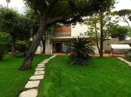 Villa Vanessa