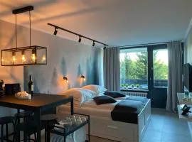 Schwarzwald Wohnung Kniebis