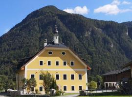 Pfarrhofbauer, apartment in Sankt Martin bei Lofer