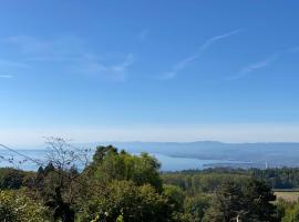 Petite maison à l'orée des bois vue magnifique sur le lac zenitude et plénitude, obiteljski hotel u gradu 'Belmont-sur-Lausanne'