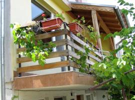 Guest House Familia, budgethotell i Samovodene