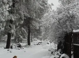 Gate Away B&B Units - המקום באל רום