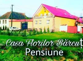 Casa Florilor Barcut
