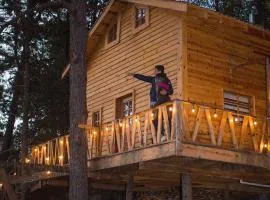 Wooden Inn - Cabañas Boutique y Bubble Glamping en Creel