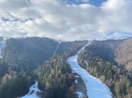 Ski View Studio - near the ski slopes, viešbutis mieste Azuga