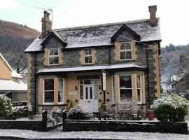 Dolweunydd Bed and Breakfast