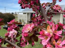 White Croft Cottage, vakantiehuis in Ross