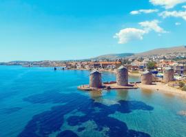 Chios Studios with Garden and BBQ, Near Lefkathia Beach, hotel in Límnos