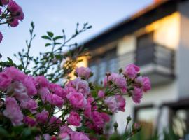 A house, free parking, sauna, casa de hóspedes em Koprivnica