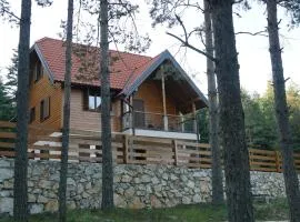Tarsko srce N