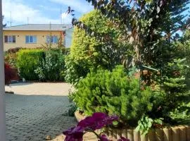 Apartman Starý Liskovec