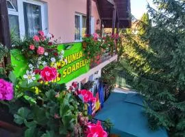 Pensiunea Agroturistică Piscul Soarelui