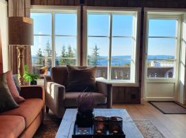 Beautiful cabin at Lifjell perfectly located for hiking and skiing with sauna