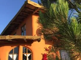 Malva Rosa Relax La Juanita