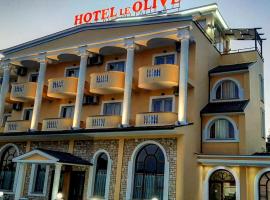 Hotel Le Olive, hotel in Elbasan
