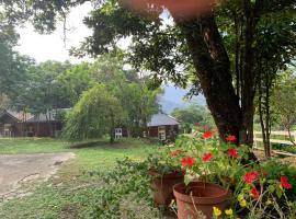 南洋62之森: Nanzhuang şehrinde bir evcil hayvan dostu otel