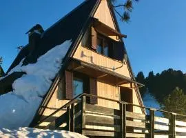 Chalet Paoletta - Alpe Cermis