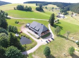Zum Wilden Michel, hôtel à Oberlinach