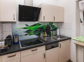 Ferienwohnung in dem schönen Kurort Bad Dürkheim, apartma v mestu Bad Dürkheim