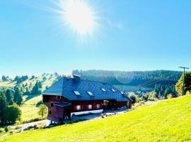 RotmeerHaus: Feldberg'de bir otel