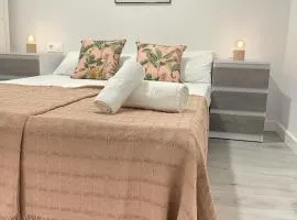 Apartamento la Paz WIFI y confort by apartamentos Logrono