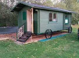 Cabin Dan