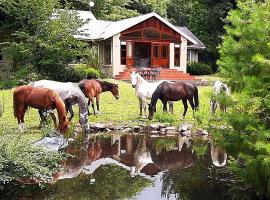 Timeless, hotell i Hogsback