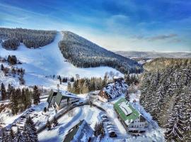 Pension Renata, hotel med pool i Harrachov