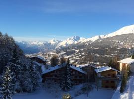 Mountain view cosy, comfortable 1 bed-room Luxury Appartment Crans-Montana, apartment in Crans-Montana