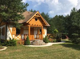 Deluxe Holiday Zdrojowa -Willa typu Alpejskiego w Borach Tucholskich-Całoroczna Balia z jacuzzi-Prywatny las i strumyk -Duża Wiata grillowa、Osówekのホテル