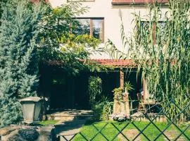 Pensiunea Dulce Ambient