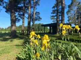 Villa Männituka Suvetuba