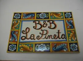 B&B La Pineta