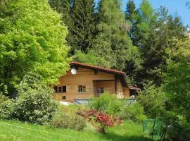 Log House in Rinchnach with Panoramic Views