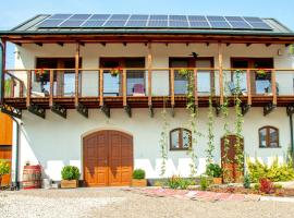 Winnica Płochockich Country House, hotel a Pielaszów