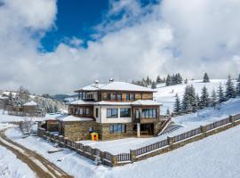 Stoykite-Pamporovo Nature Retreat、Stoykiteのヴィラ