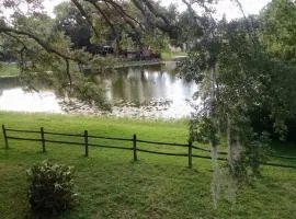 Tampa Lakehouse II 2 bedroom and 2 bathroom