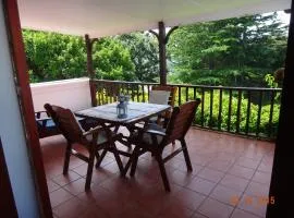Belvidere Garden Apartment