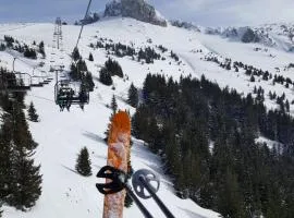 Chalet 8 pers 50m de la télécabine
