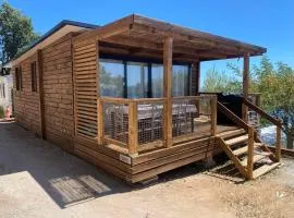 Mobil home Chalet 35 m2 camping l ile d or Saint-raphael