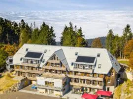 Berghaus Freiburg - Appartement Hotel auf dem Schauinsland