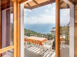 App Olivo Casa Demonti