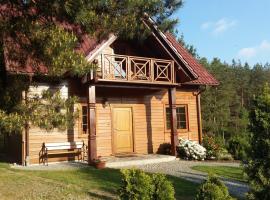 Kaszubskie Zacisze dom nad jeziorem, sauna, balia ogrodowa，Lipusz的Villa