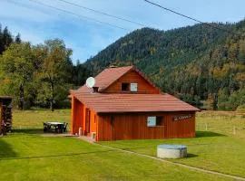 Chalet pour amoureux de la nature avec vue sur le lac de Retournemer