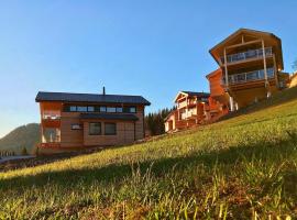 Chalets Reiteralm, Pichl im Ennstal, hotel in Pichl