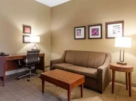 Comfort Inn & Suites Peachtree Corners