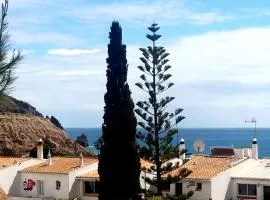 Queen Palm
