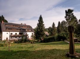 Pension Styl, hotel in Bedřichov